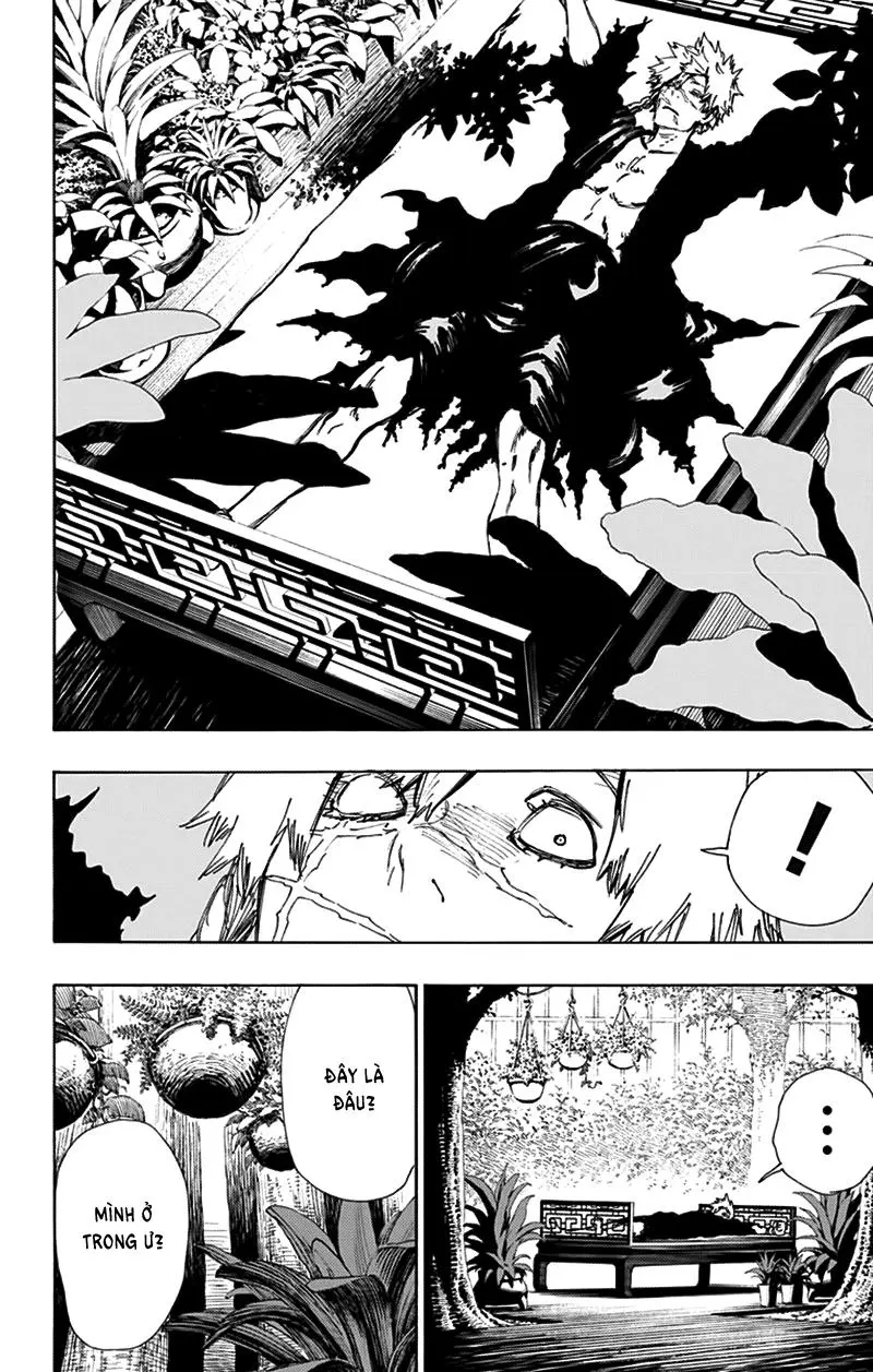 Chapter 55