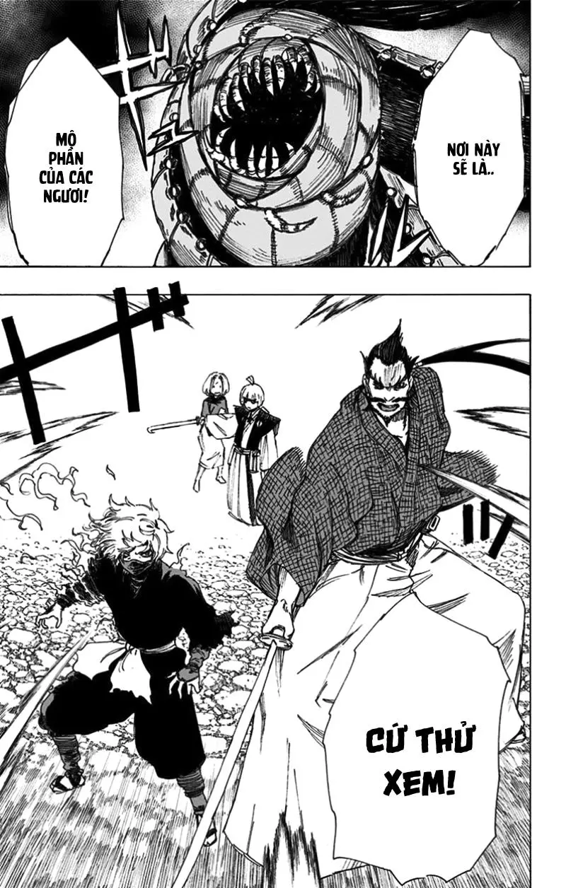 Chapter 33