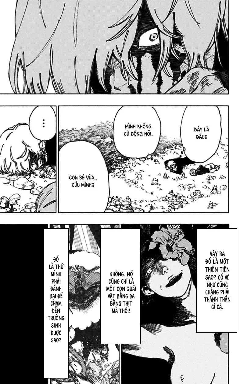 Chapter 26