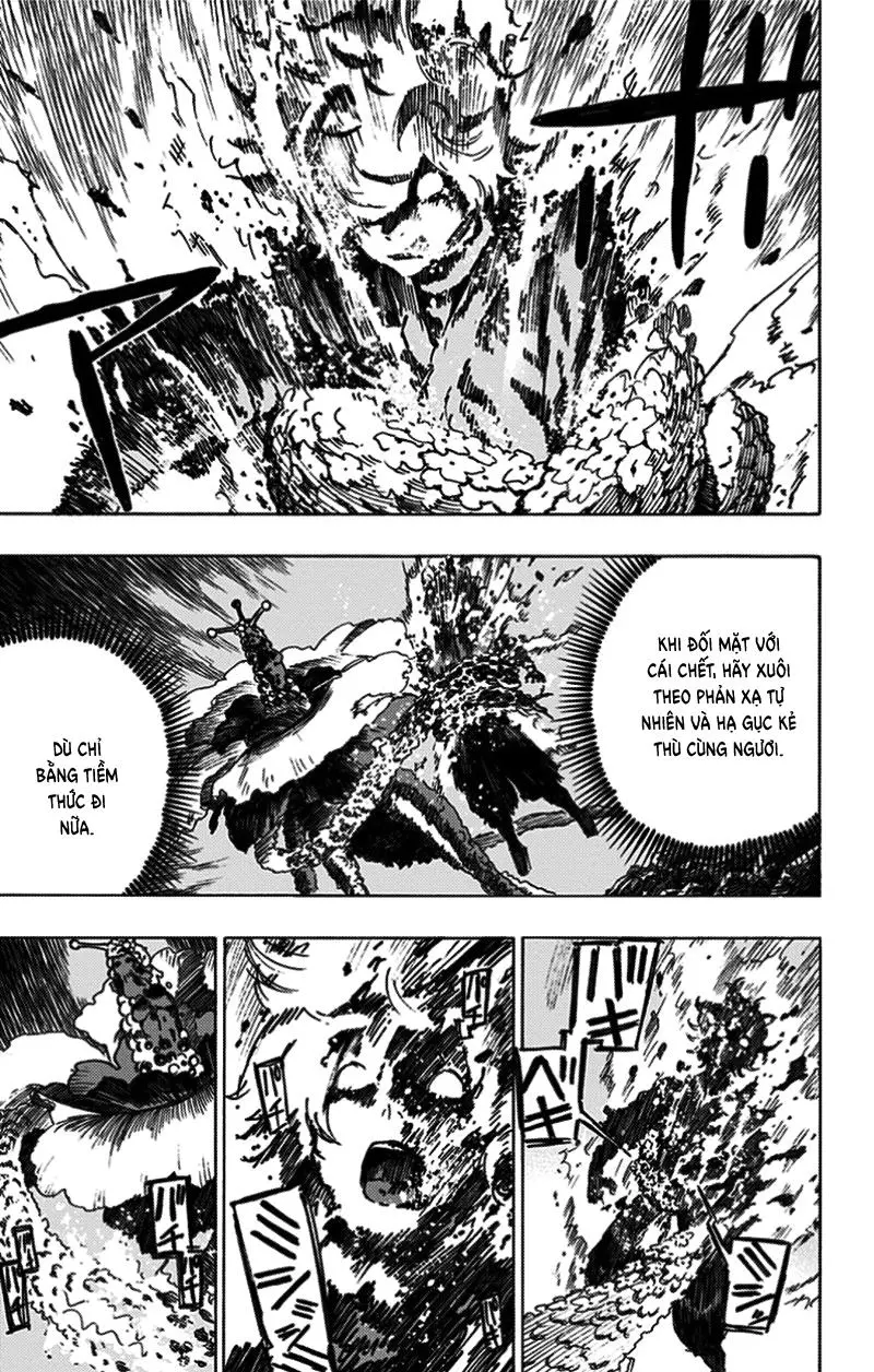 Chapter 25