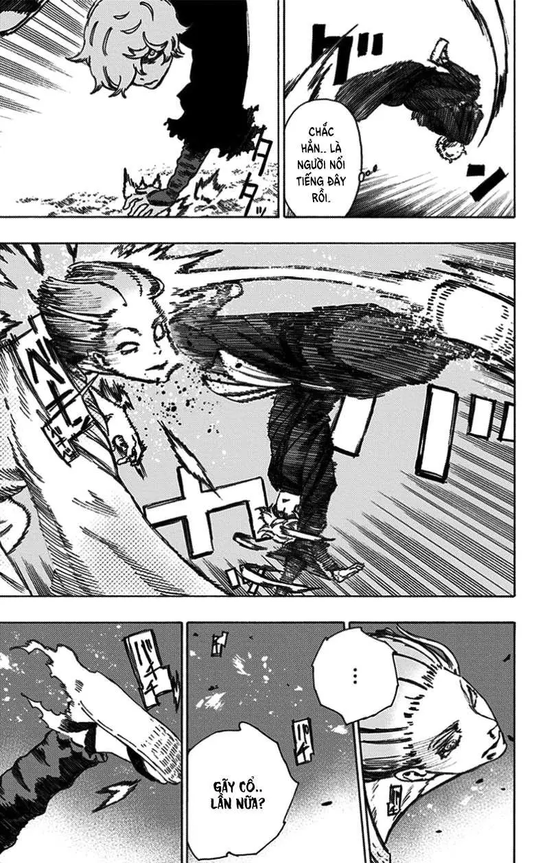 Chapter 23