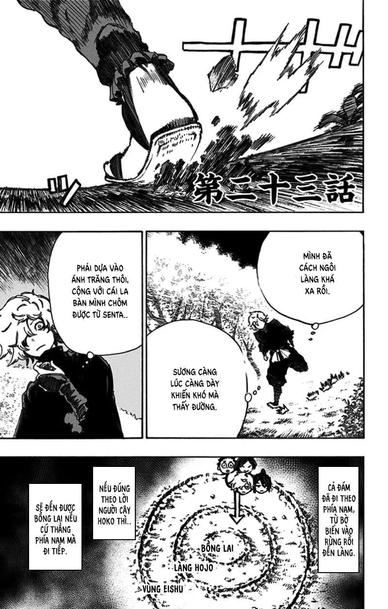 Chapter 23