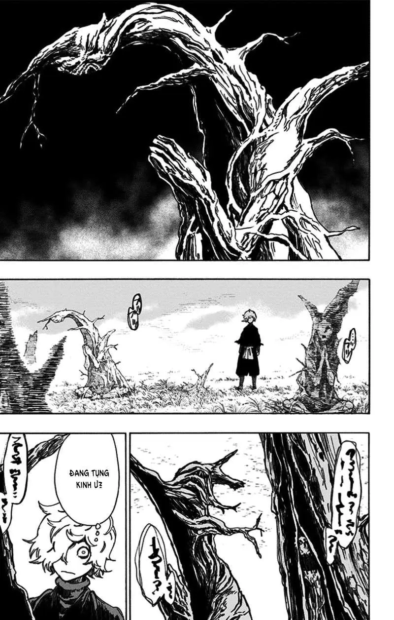 Chapter 23