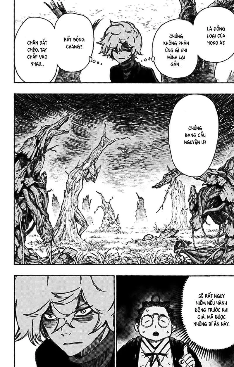 Chapter 23