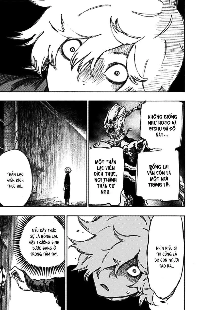 Chapter 23
