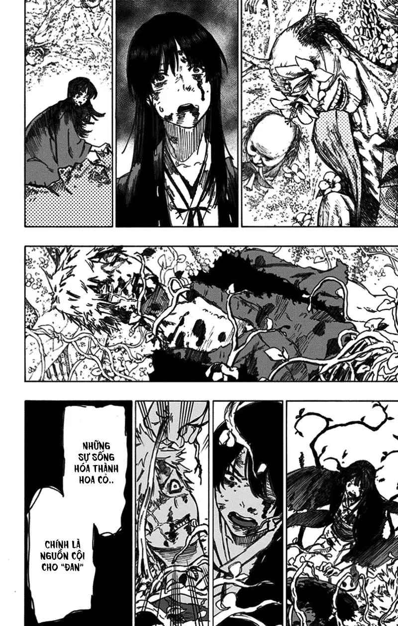 Chapter 19