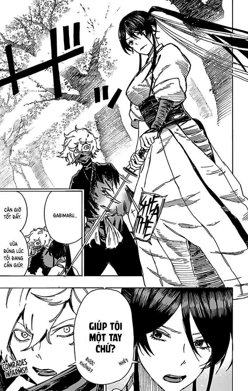 Chapter 13