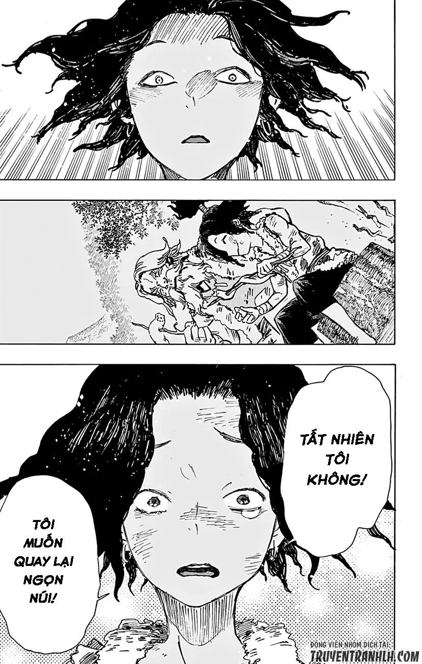 Chapter 11