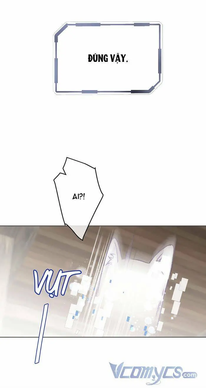 Chapter 146