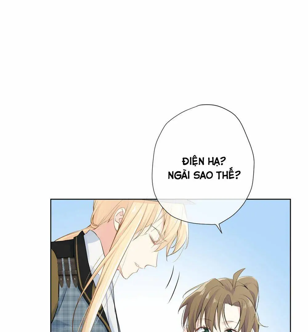 Chapter 34