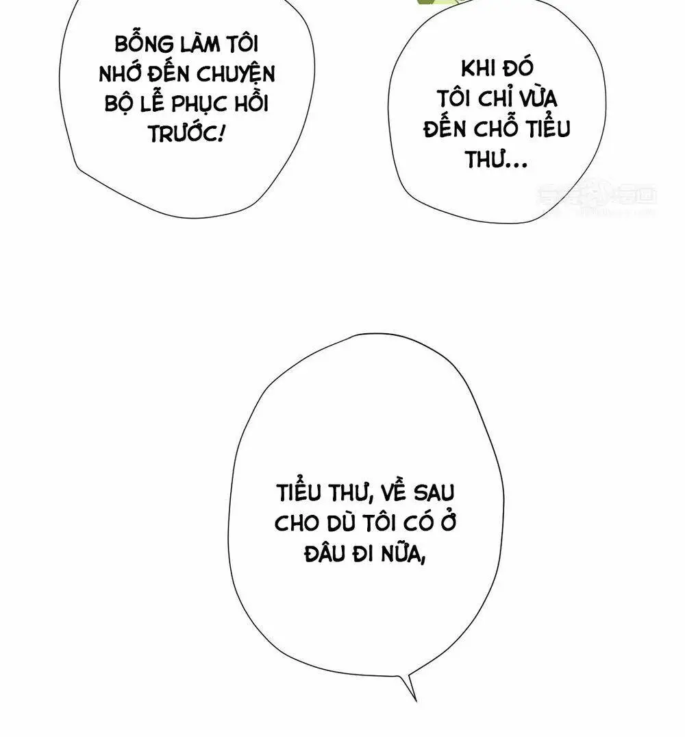 Chapter 31