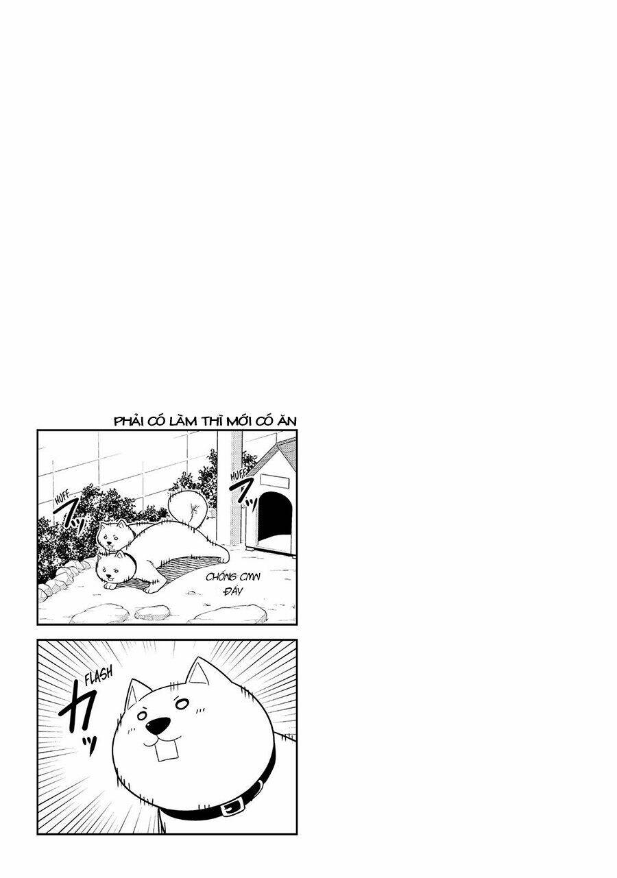 Chapter 121