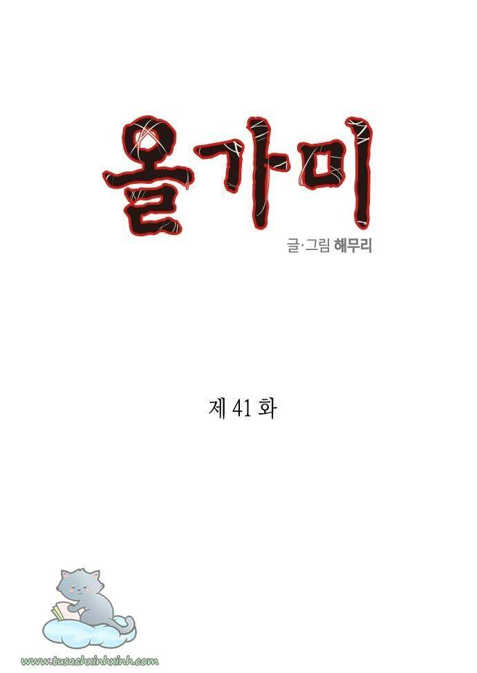 Chapter 41