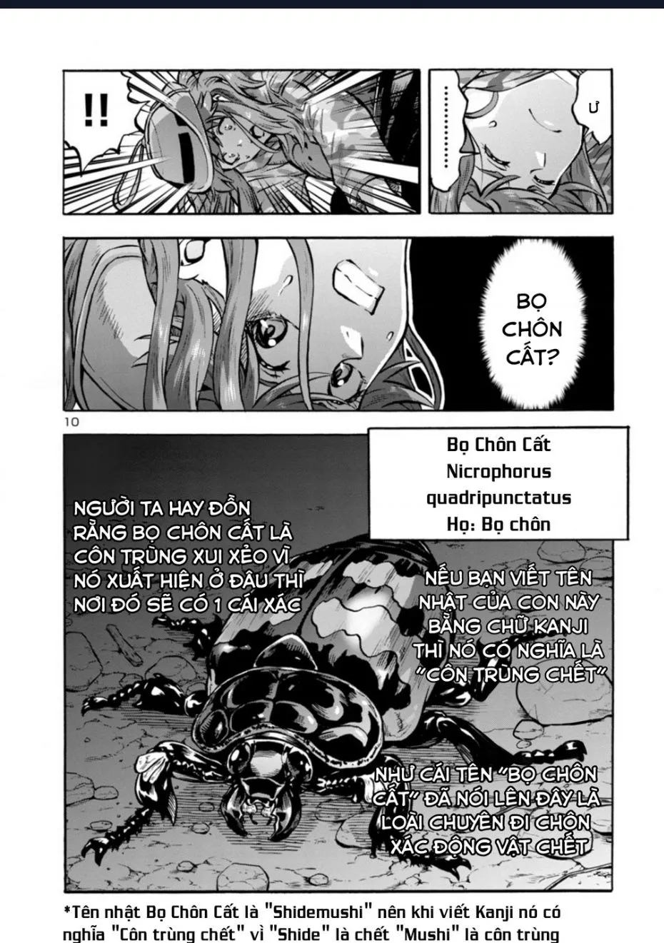 Chapter 38.5