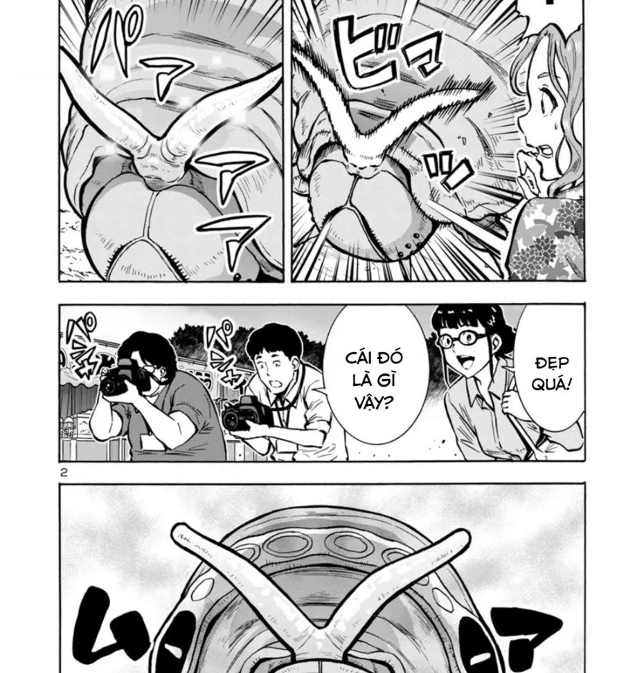 Chapter 34.5