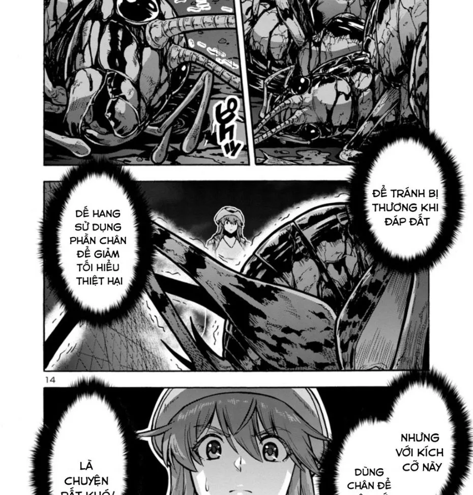 Chapter 30.5