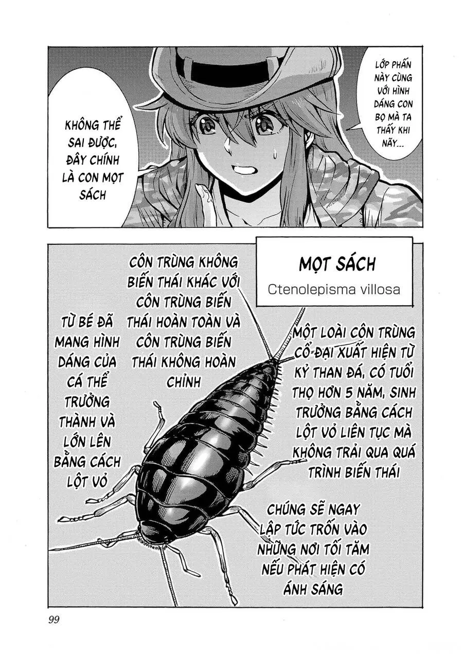 Chapter 27