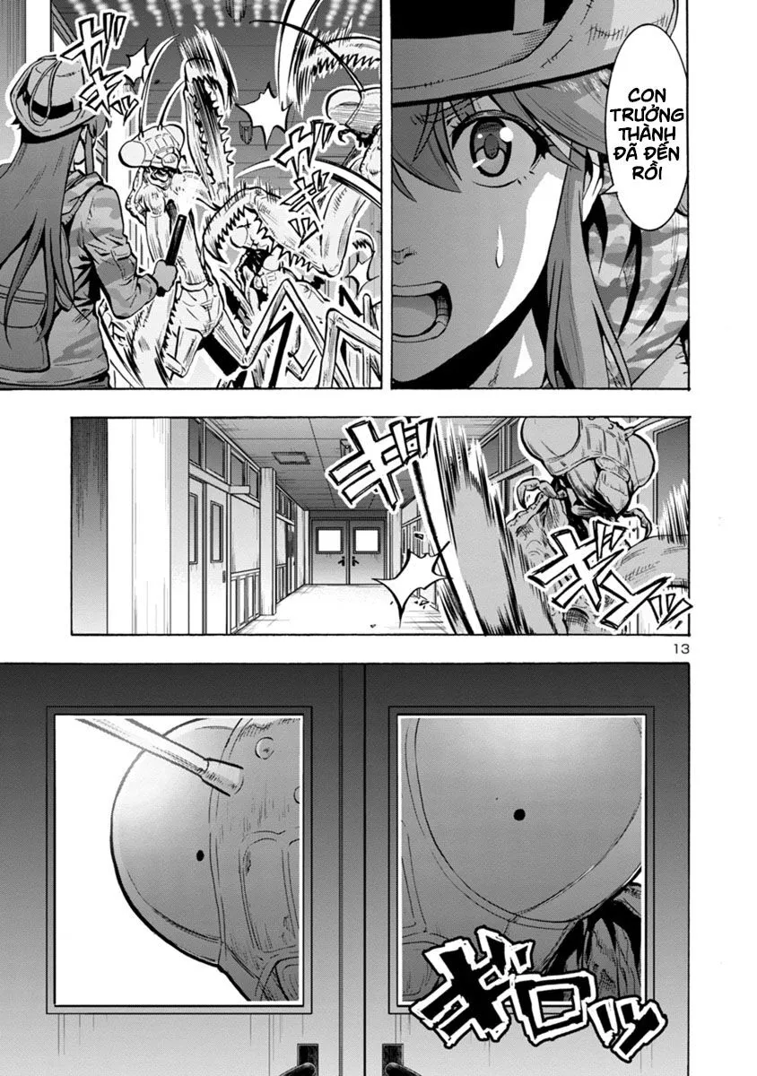 Chapter 14.2