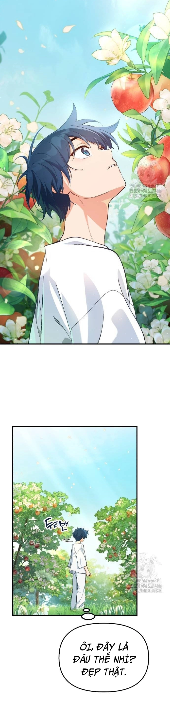 Chapter 4