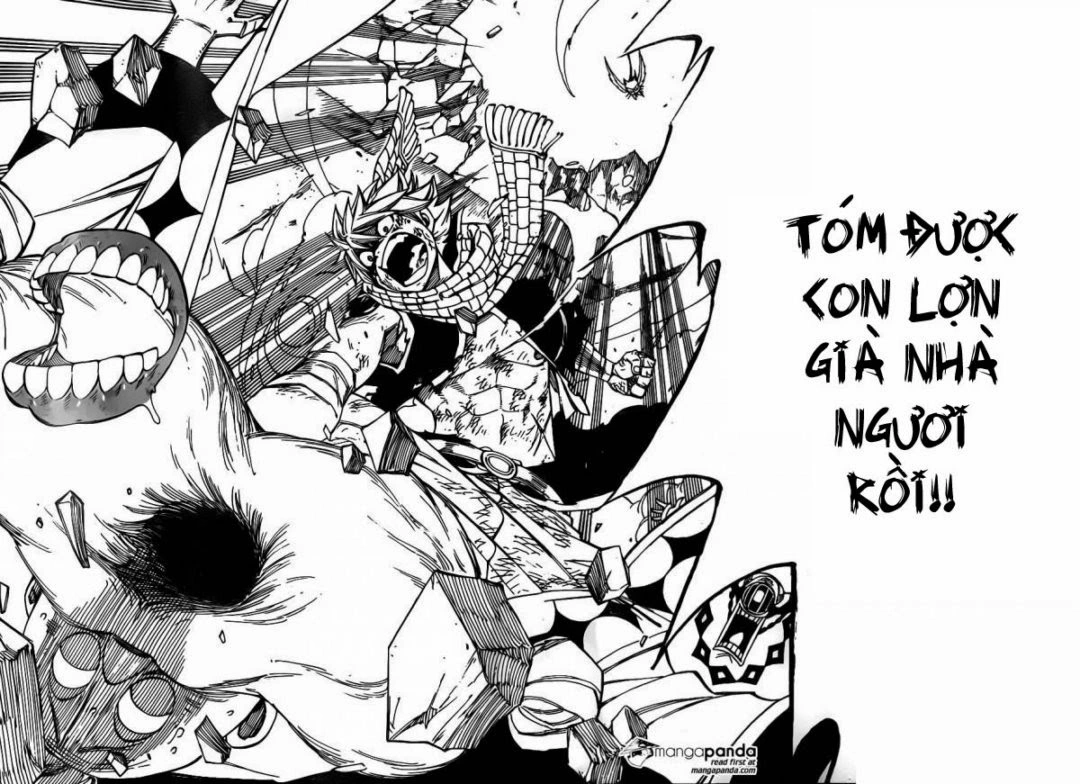 Chapter 365