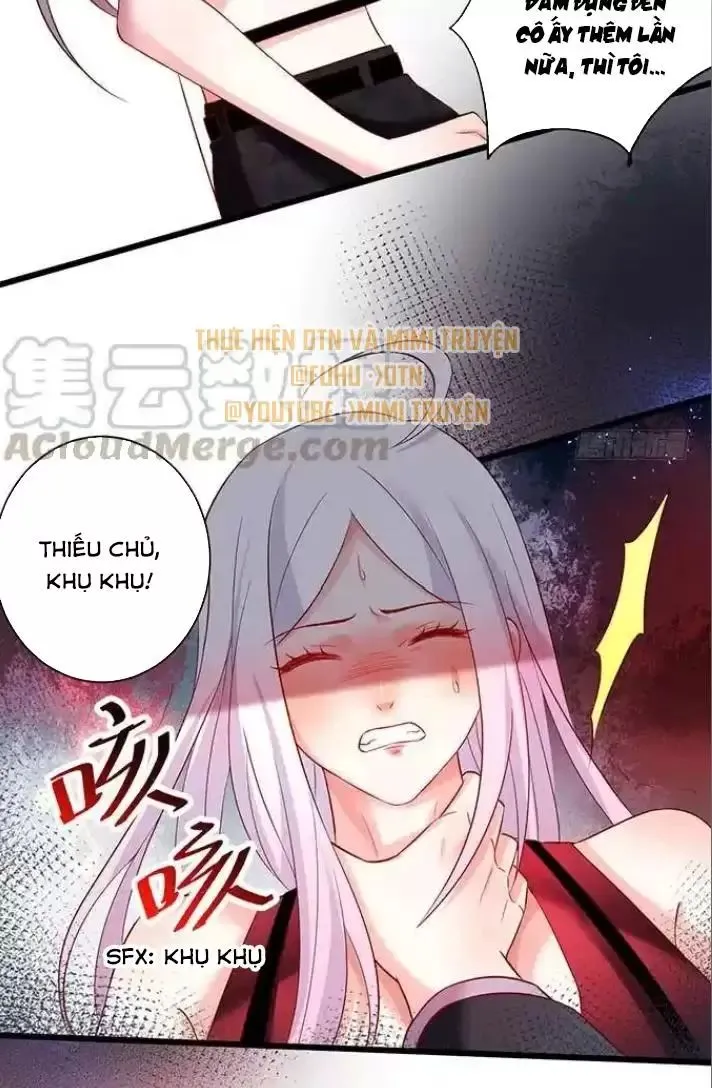 Chapter 161