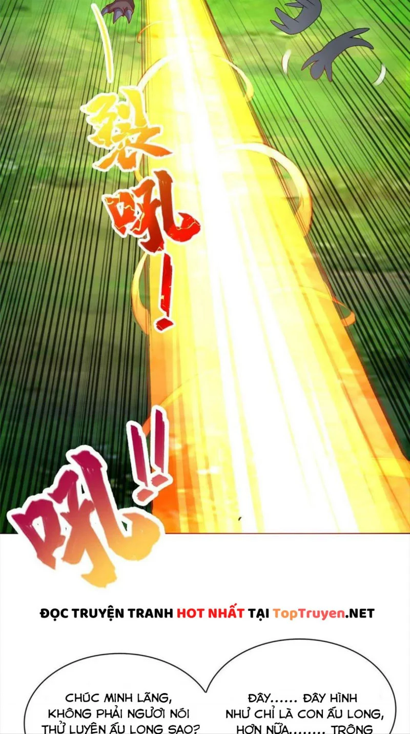 Chapter 217