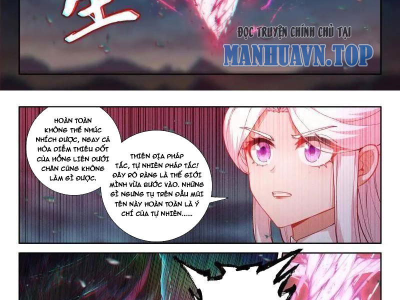 Chapter 519