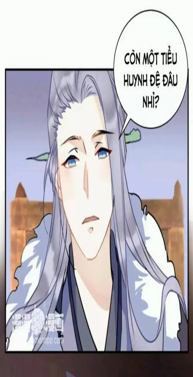 Chapter 33
