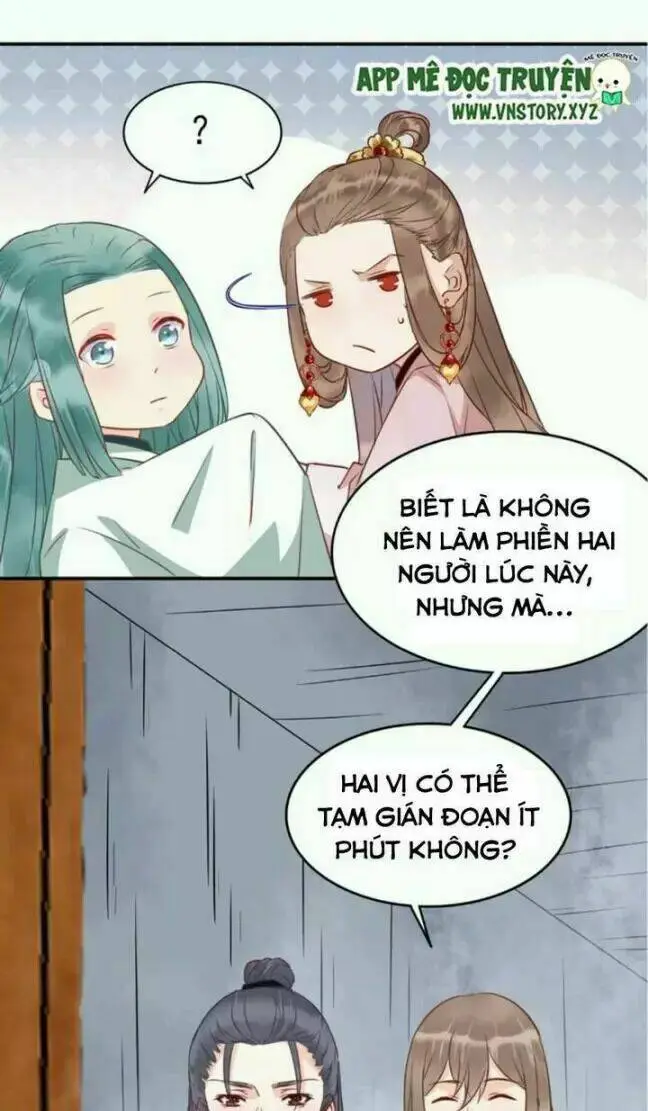Chapter 29