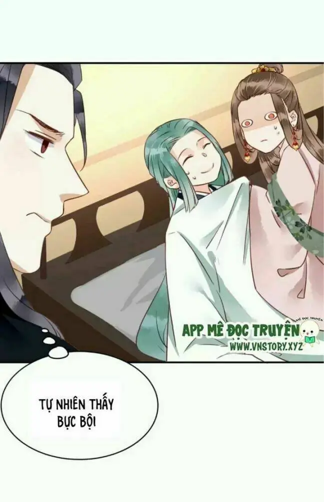 Chapter 29