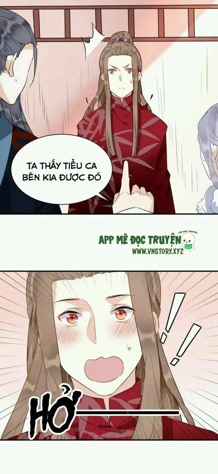 Chapter 23
