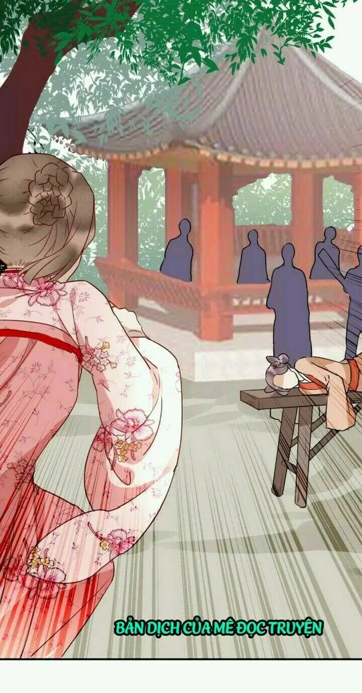 Chapter 17