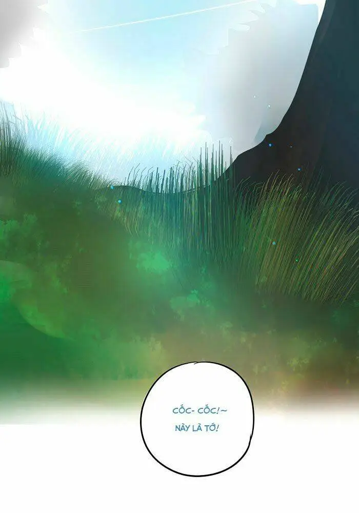 Chapter 0
