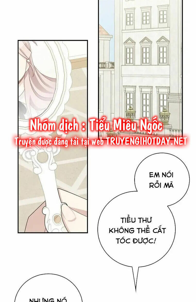 Chapter 41