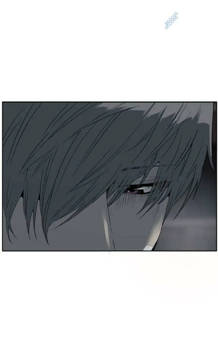 Chapter 266