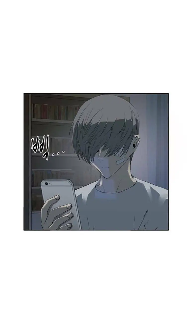 Chapter 266