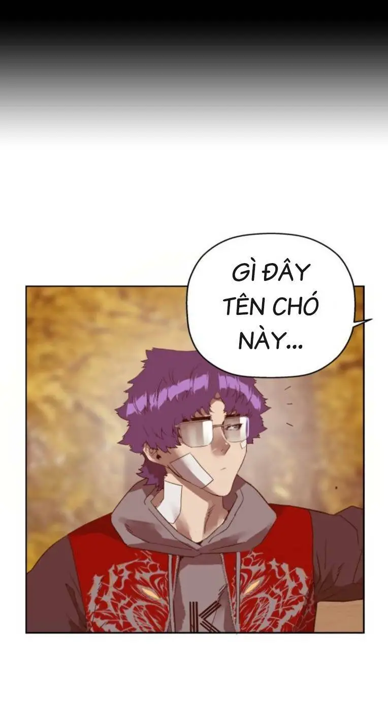 Chapter 266