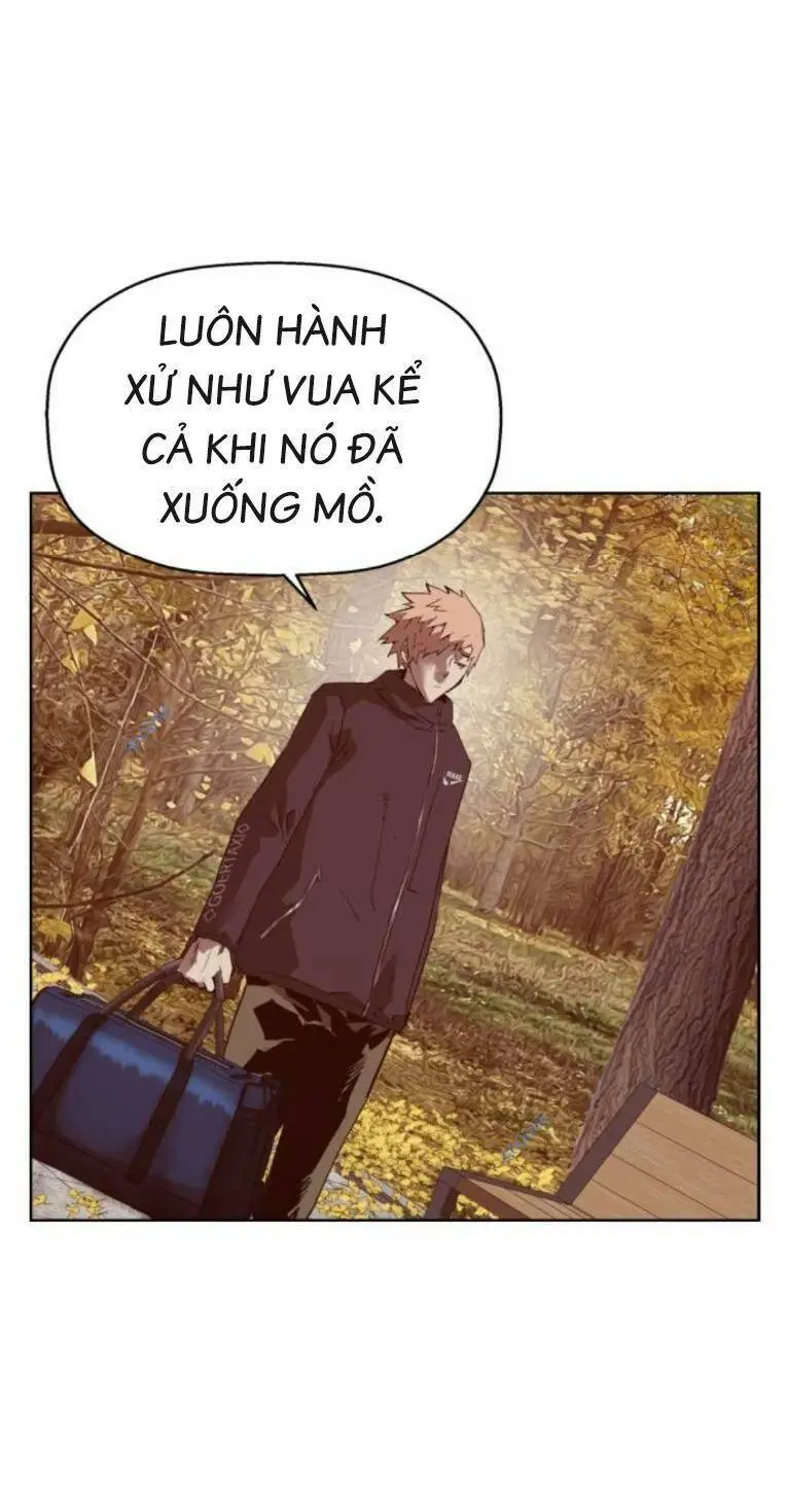 Chapter 266