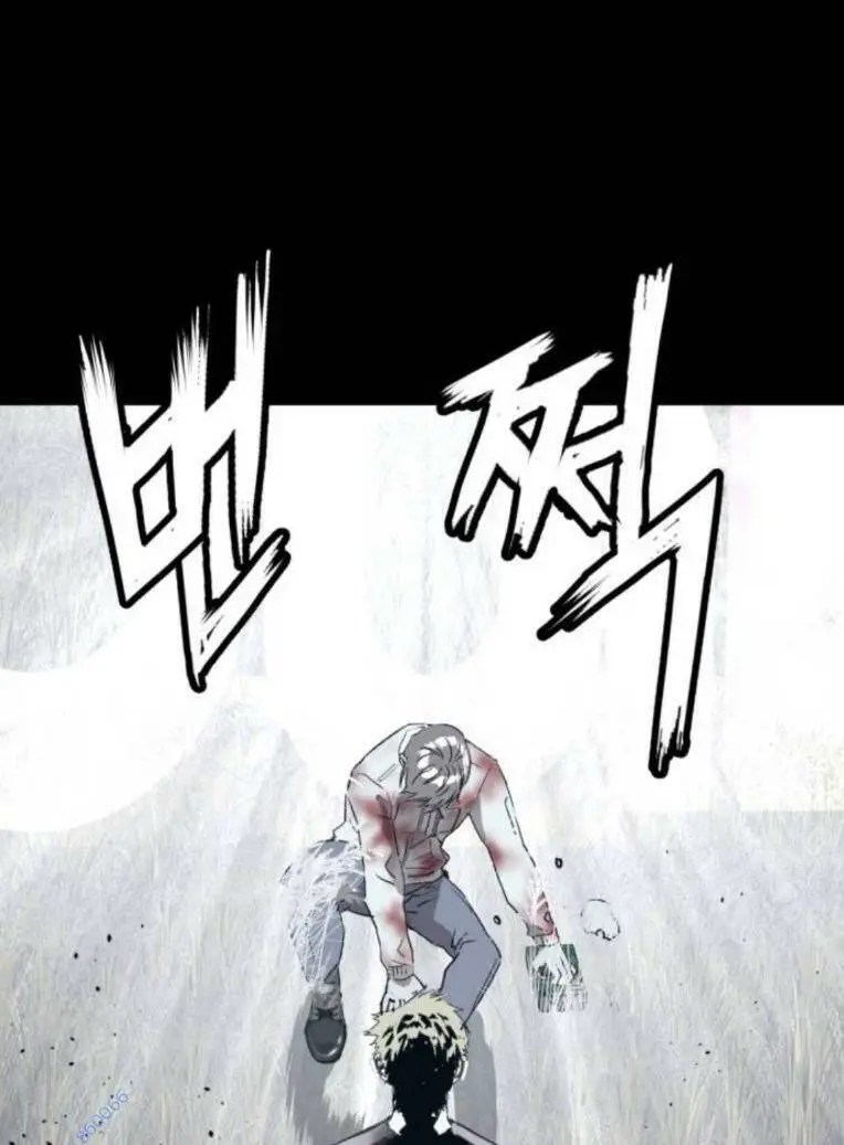 Chapter 266