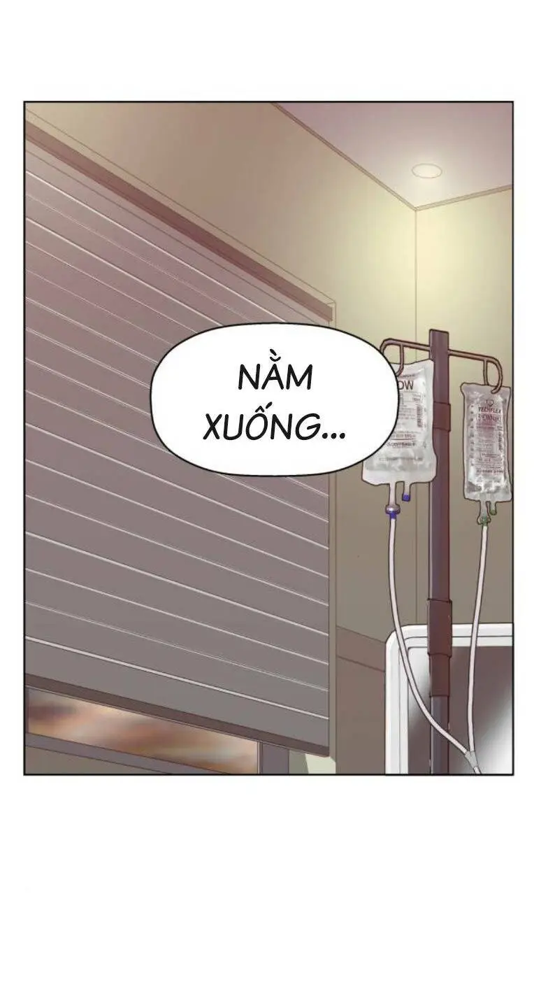 Chapter 266