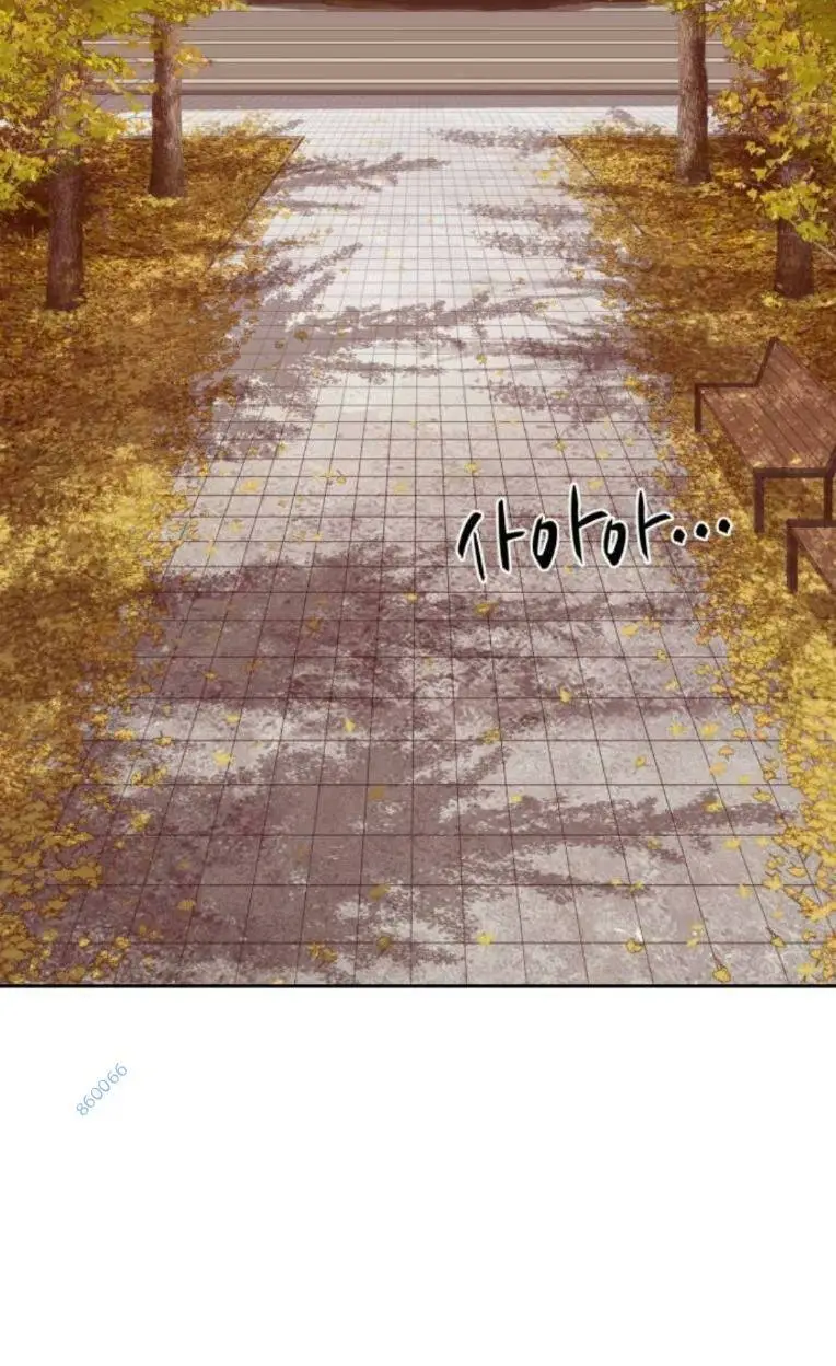 Chapter 266