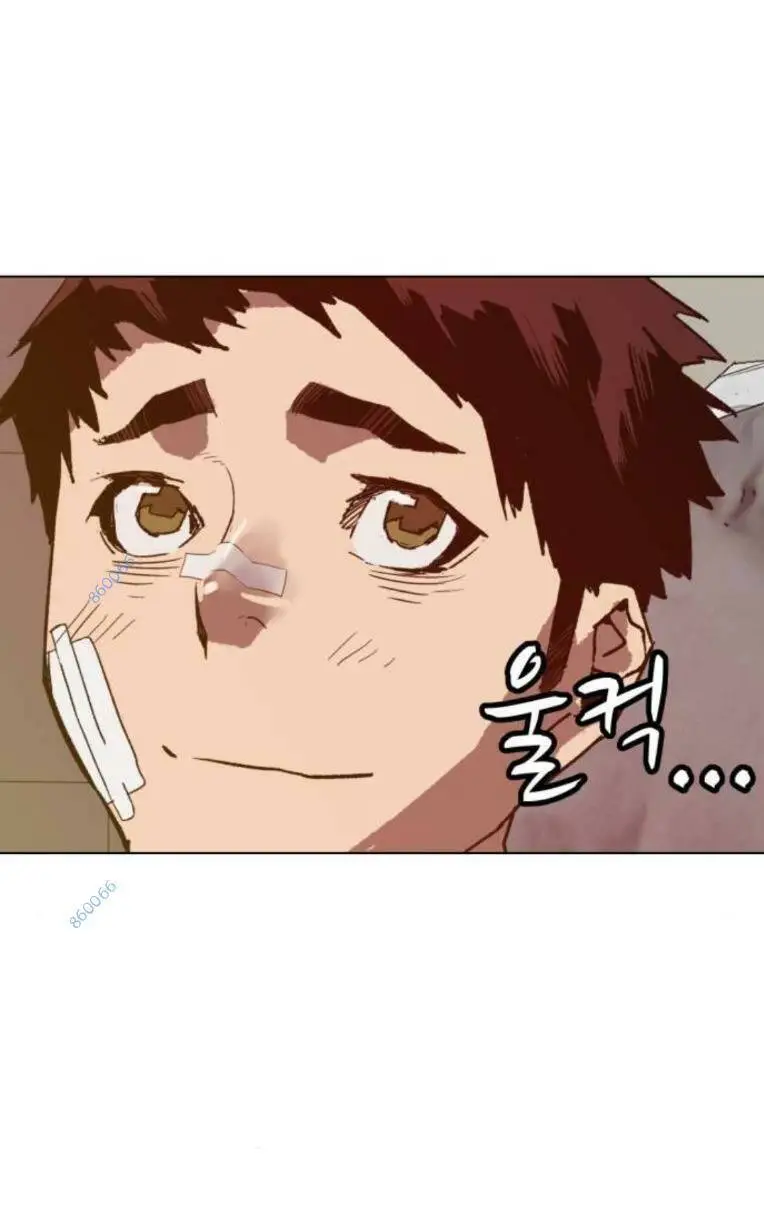 Chapter 266
