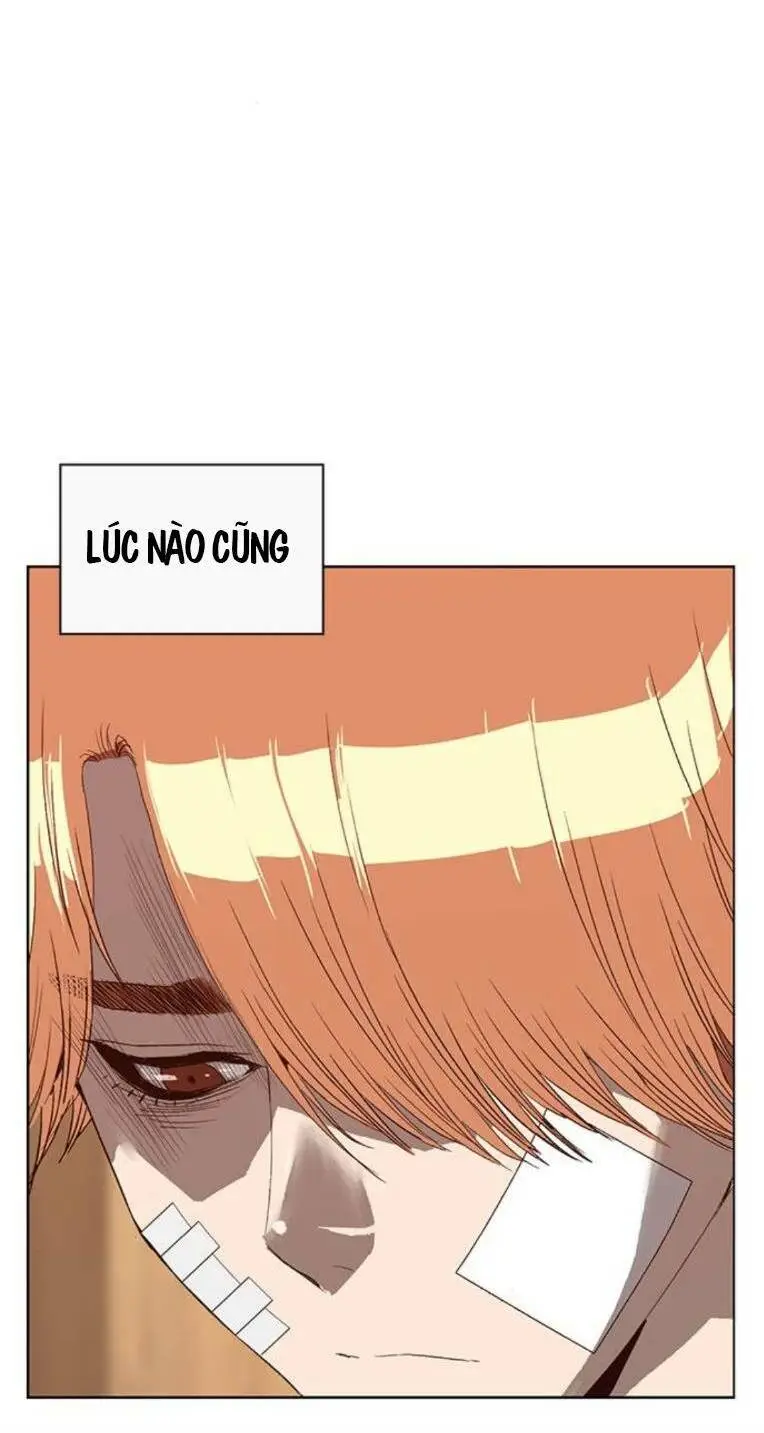 Chapter 264
