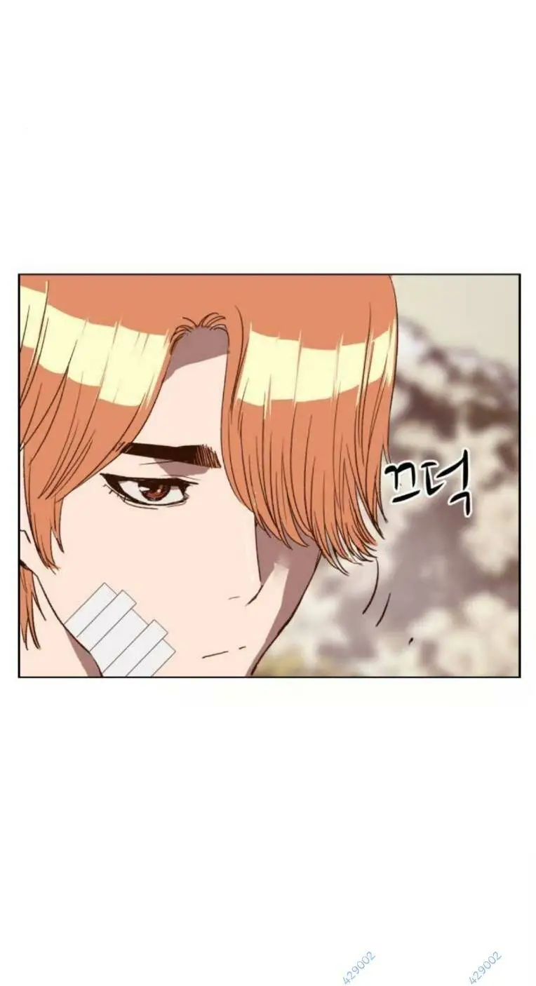Chapter 264
