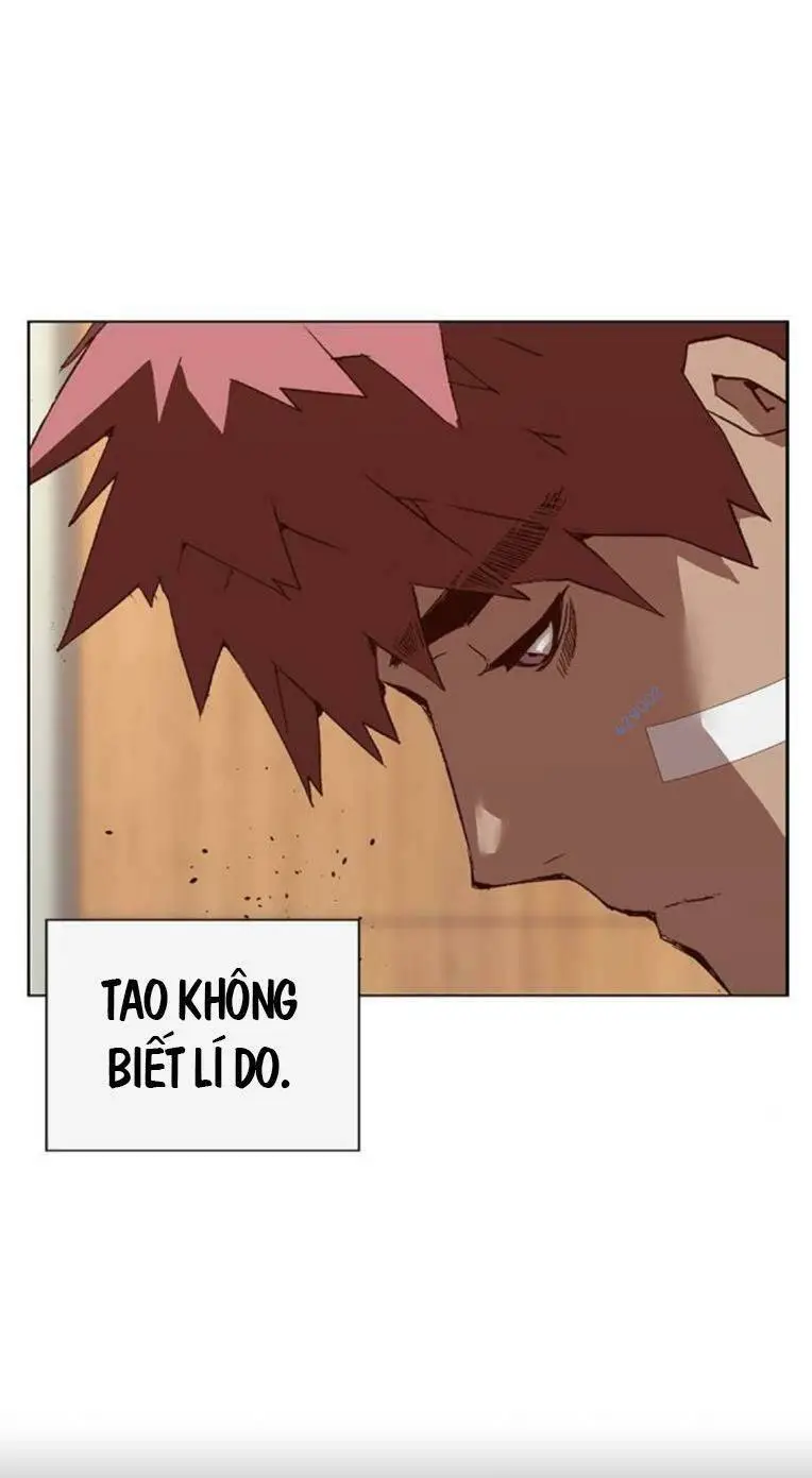 Chapter 264