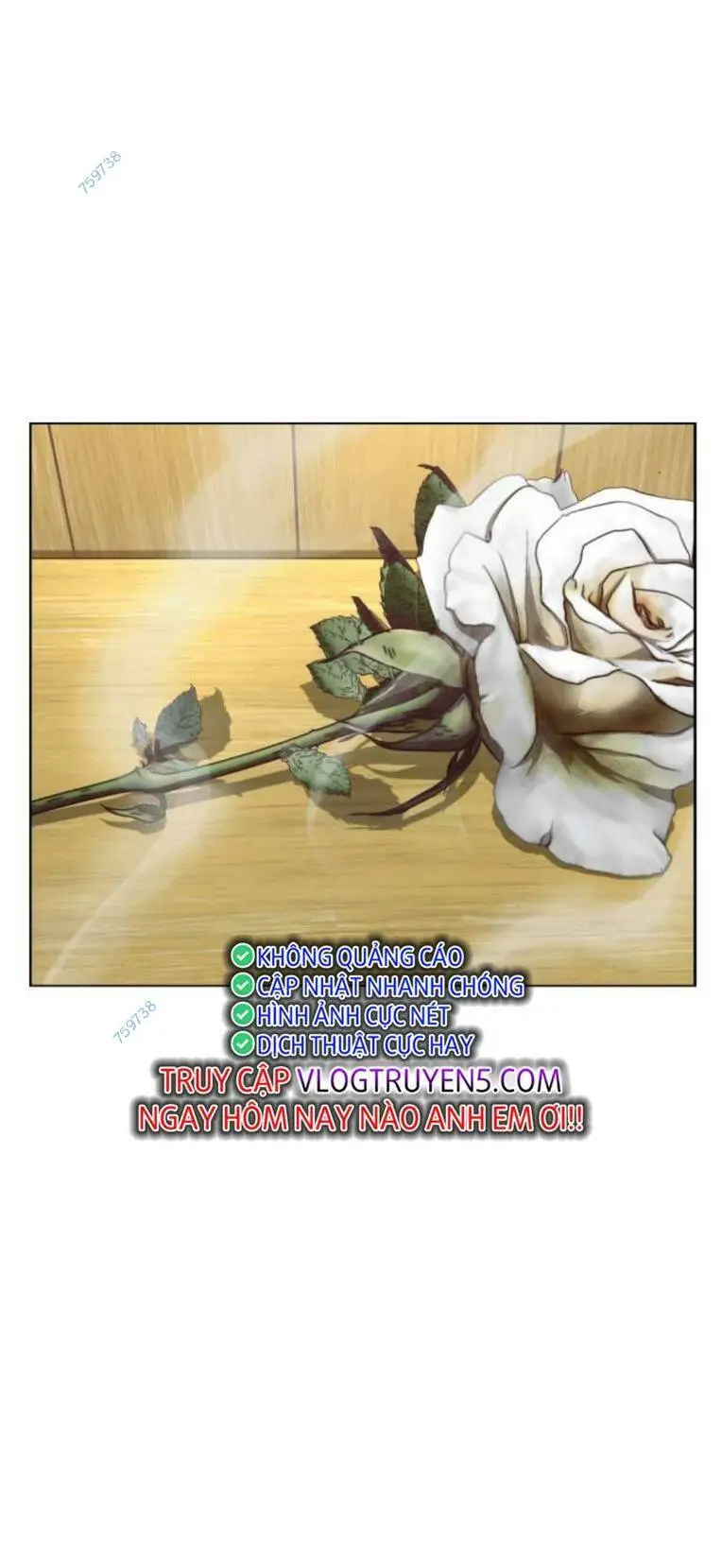 Chapter 263