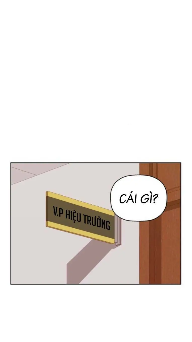 Chapter 263