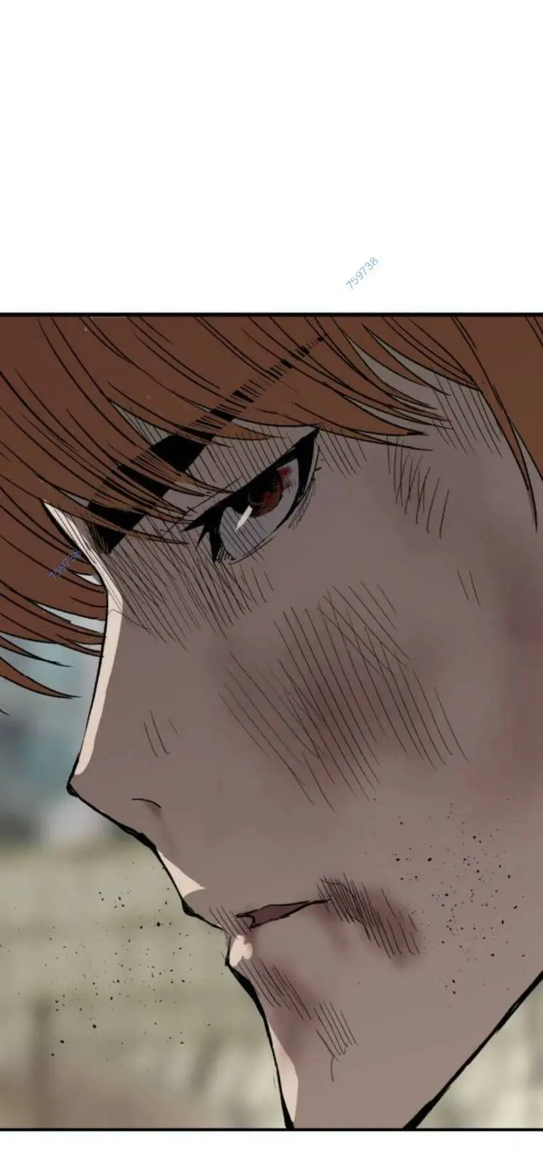 Chapter 263