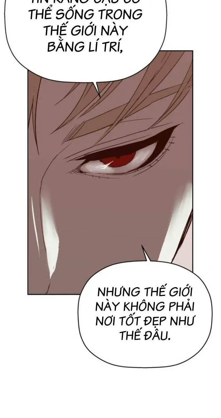 Chapter 262