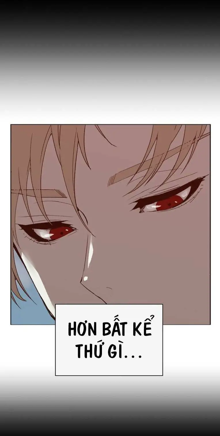 Chapter 261